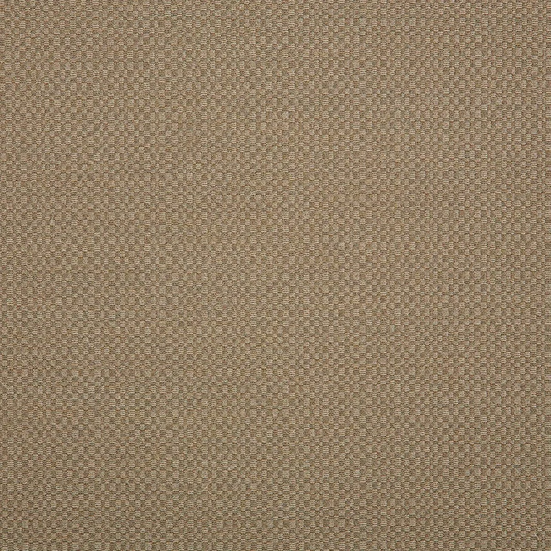 Sunbrella® Action Taupe 44285-0003 Elements Upholstery 54" Earthy tone unclassified dresses