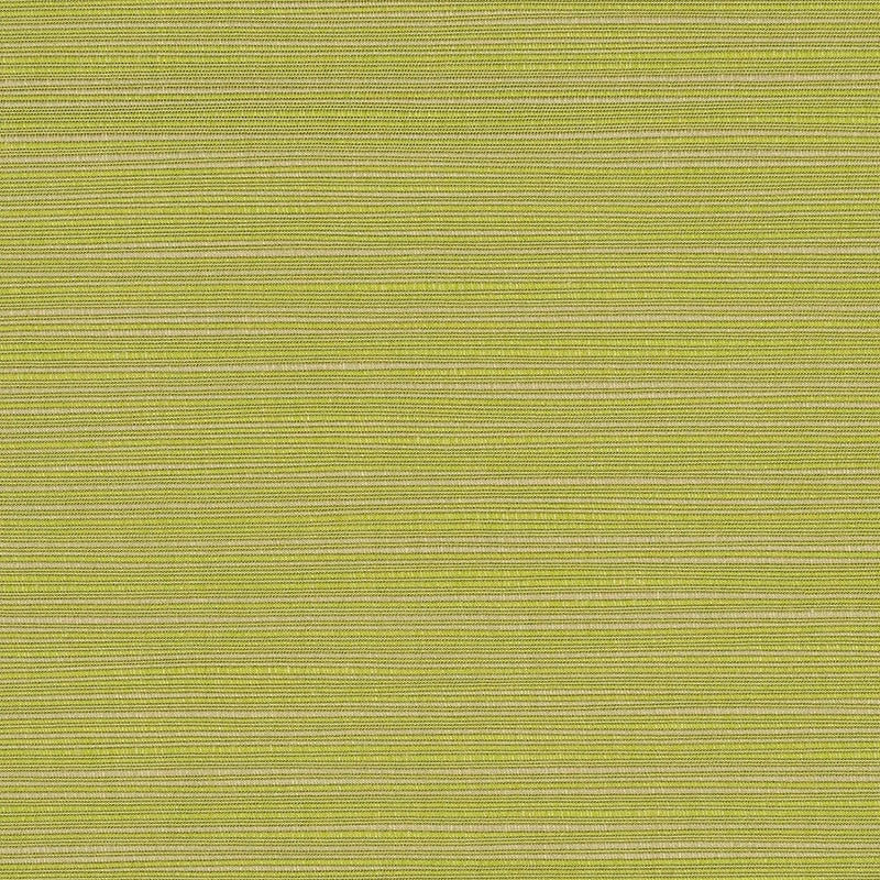 Sunbrella® Dupione Peridot 8024-0000 Elements Upholstery 54" Stretchy unclassified dresses